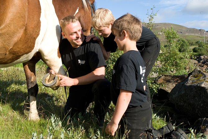 Icelandic Horseback Riding Tour Including Pick Up from Reykjavik - Timing, group size, and the feel of the ride
