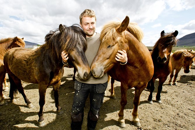 Icelandic Horseback Riding Tour Including Pick Up from Reykjavik - Getting ready at the family farm