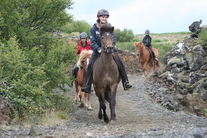 Icelandic Horseback Riding Tour with Pickup Option from Reykjavik - Key points at a glance