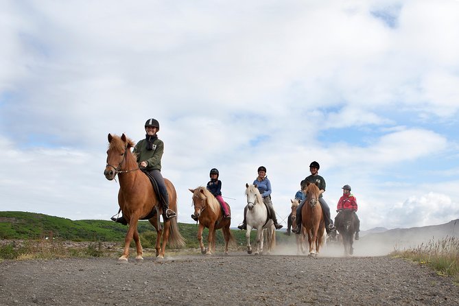 Icelandic Horseback Riding Tour with Pickup Option from Reykjavik - Why the Icelandic horse makes this ride different