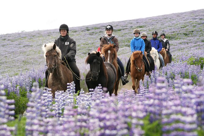 Icelandic Horseback Riding Tour with Pickup Option from Reykjavik - The first minutes in the saddle