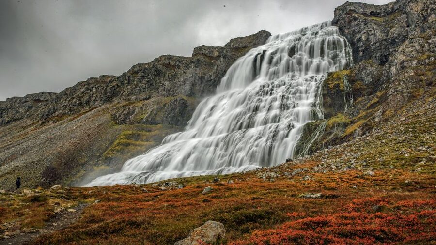 Isafjordur: Dynjandi Waterfall Tour and Icelandic Farm Visit - Why Dynjandi makes a strong half-day from Ísafjörður
