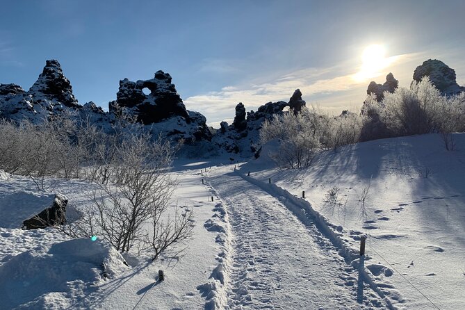 Lake Myvatn and Godafoss Waterfall Day Tour from Akureyri - What the guides add to the day