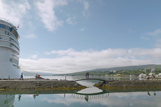 Lake Mývatn & Goðafoss Waterfall from Akureyri Port - Hverir’s boiling mud and sulfur air