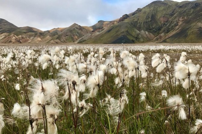 Landmannalaugar by Super Jeep - Hekla and the road into Fjallabak