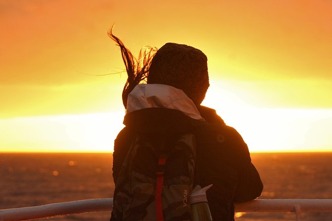 Magical Whales in the Midnight Sun | from Reykjavik - Why a late-night whale cruise works so well in Iceland