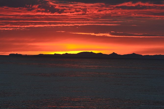 Magical Whales in the Midnight Sun | from Reykjavik - The rare moments that make the trip memorable