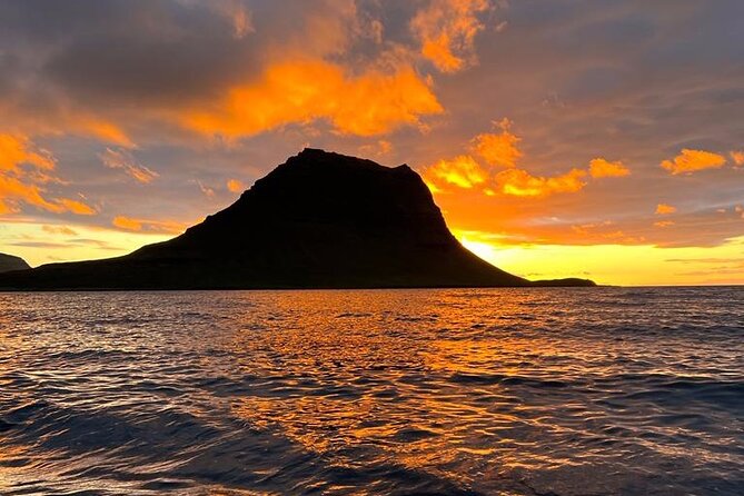 Midnight Sun Kayaking Adventure by Mt. Kirkjufell - Seals, puffins, and the living bay