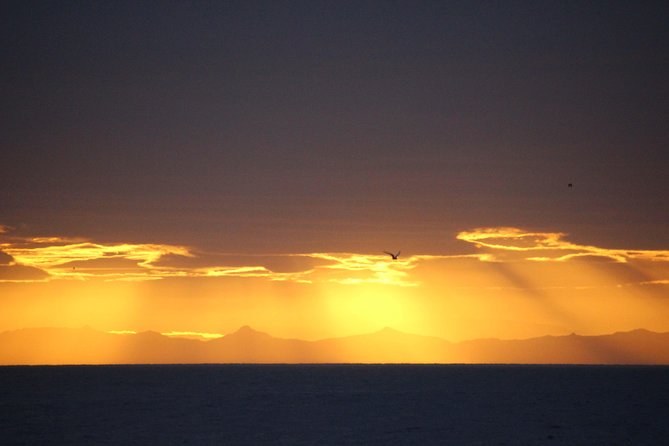 Midnight Sun Whale Watching from Reykjavik - Should you book the midnight sun whale watch?