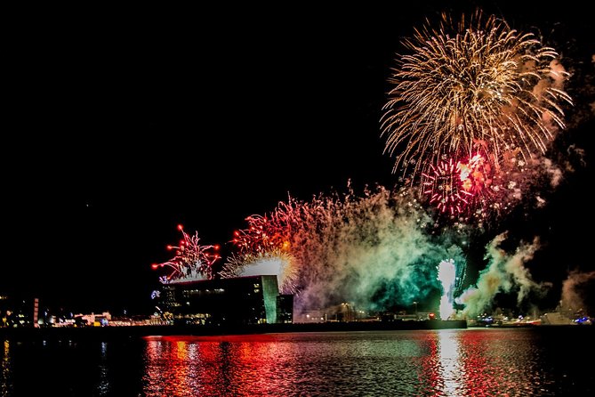 New Year's Eve Fireworks Cruise in Reykjavik - A New Year’s Eve view from the water