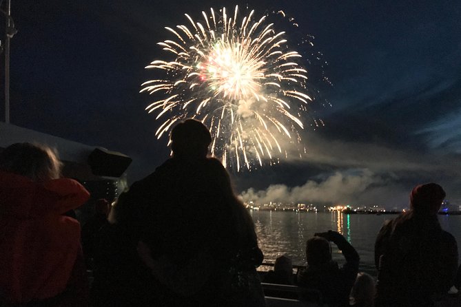 New Year's Eve Fireworks Cruise in Reykjavik - Practical details that affect your night