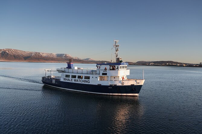 New Years Fireworks by Boat from Reykjavik - The possibility of northern lights