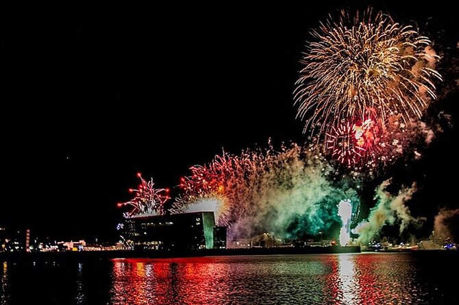 New Years Fireworks by Boat from Reykjavik - Who will enjoy this New Year’s Eve cruise?