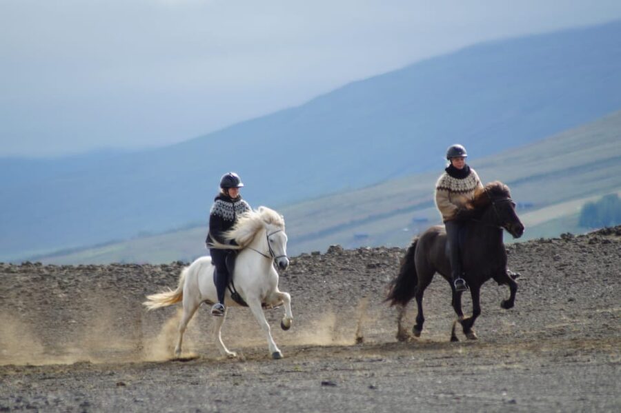 North Iceland: Horseback Riding Tour - A real Icelandic ride, not a sightseeing prop