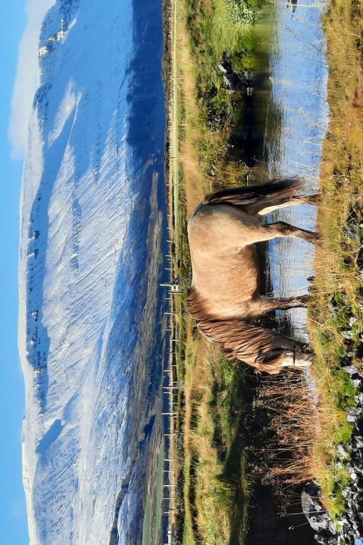 North Iceland: Horseback Riding Tour - The black sand plain