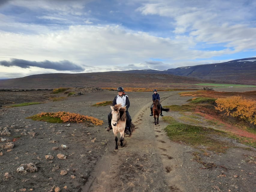 North Iceland: Horseback Riding Tour - Returning through the birch forest