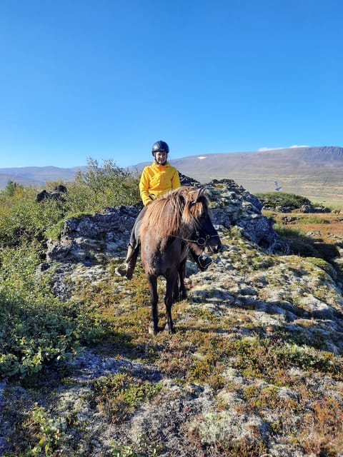 North Iceland: Horseback Riding Tour - How beginners and experienced riders fit together
