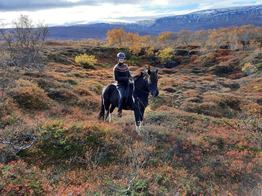 North Iceland: Horseback Riding Tour - What the $141 price includes