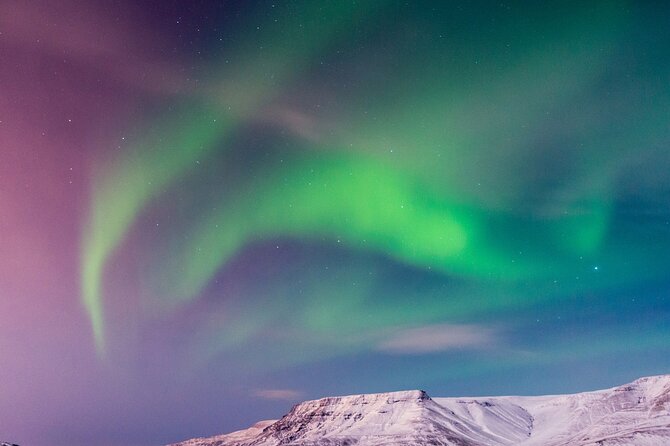 Northern Lights Boat Cruise from Reykjavik - Is $78 a fair price?