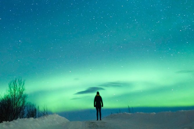 Northern Lights Bus Tour from Reykjavik with Hot Chocolate - Is $76 a fair price?