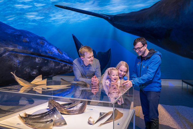 Northern Lights by Boat with a Backup Plan from Reykjavik - The backup plan at Whales of Iceland