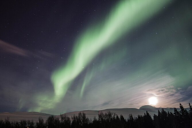 Northern Lights Classic MiniBus Tour from Akureyri - Key points before you book