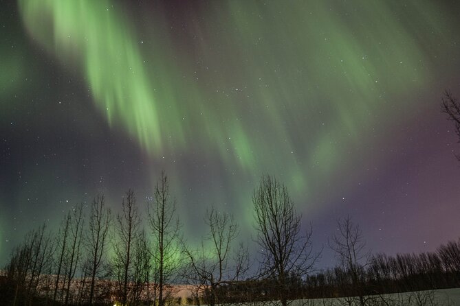 Northern Lights Classic MiniBus Tour from Akureyri - Waiting outside is part of the experience