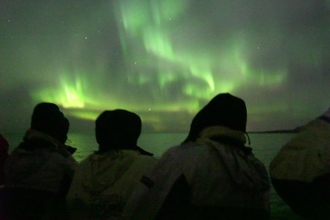 Northern Lights Cruise from Reykjavik Including Photos - Is $108.13 a fair price?