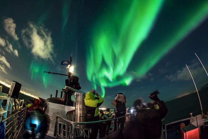 Northern Lights Cruise from Reykjavik Including Photos - Thermal suits, heated seating, and the reality of sea air
