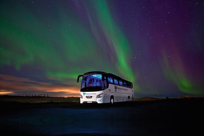 Northern Lights Guided Bus Tour from Reykjavik - Crowds, comfort, and return arrangements