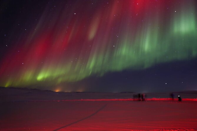 Northern Lights Private Tour from Reykjavik - What the return to Reykjavik is like