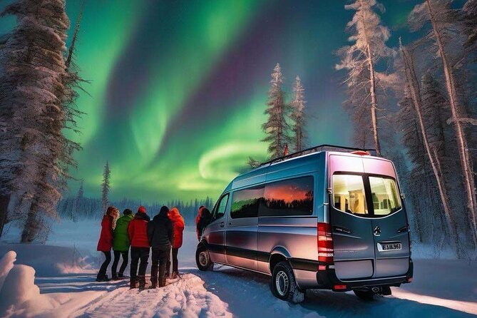 Northern Lights Small Group Tour from Reykjavik - Is $117.29 good value?