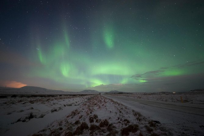 Northern Lights Small-Group Tour From Reykjavik with Hot Drink - When this tour suits you best