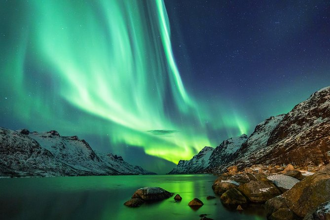 Northern Lights Tour from Reykjavik with Lifetime Guarantee - What happens at the viewing stop