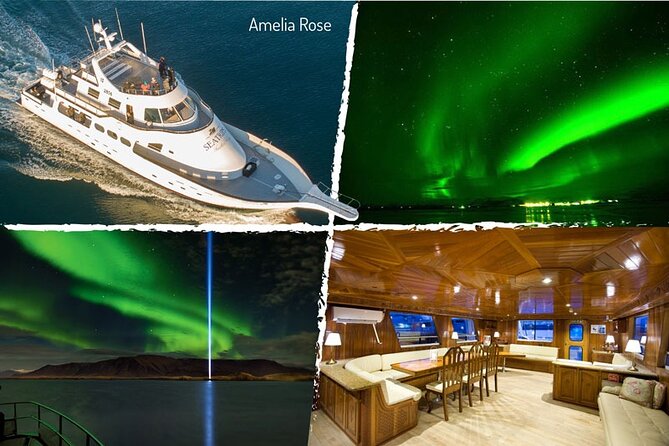 Northern Lights Yacht Cruise in Reykjavik - How the no-sighting return ticket changes the value