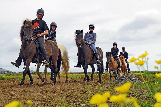 One-Hour Horseback Riding Tour in the Icelandic Countryside - Key points to know before you book