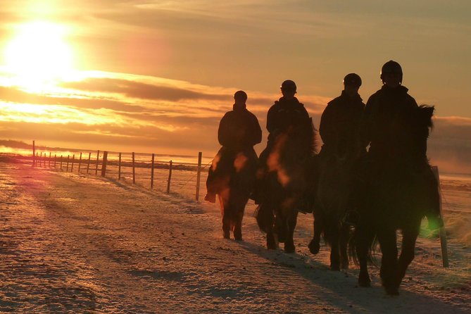 One-Hour Horseback Riding Tour in the Icelandic Countryside - What this one-hour ride is really for
