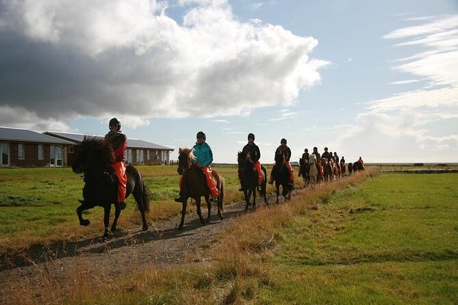 One-Hour Horseback Riding Tour in the Icelandic Countryside - The highway question and your expectations