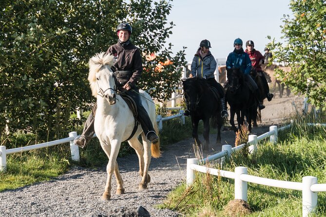 One-Hour Horseback Riding Tour in the Icelandic Countryside - Riding paths and meadows around Vellir