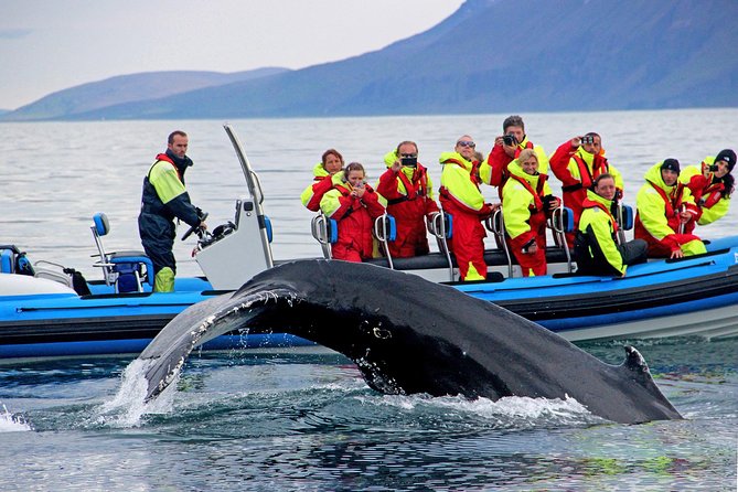 Original Big Whale Safari & Puffins Speedboat Tour from Húsavík - Getting ready for a fast ride on open water