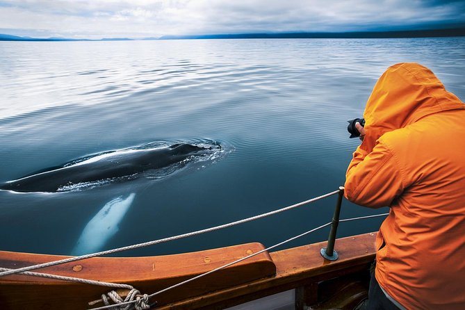 Original Carbon Neutral Whale Watching Tour from Húsavík - Key points to know before you sail