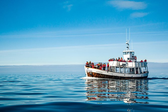 Original Carbon Neutral Whale Watching Tour from Húsavík - Price, group size, and what you receive