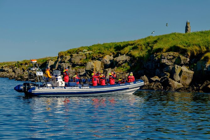 Premium Small-Group Puffin & Bird Watching tour from Reykjavík - Stop one: preparation at the harbour