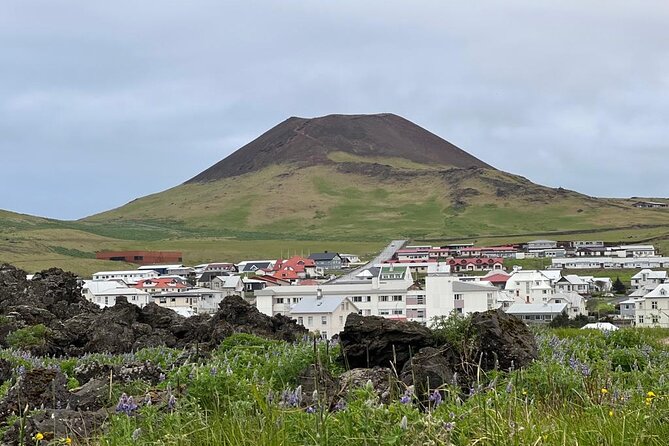 PRIVATE 2-Hours Tour - Westman Islands with a local in a BMW X5 - What two hours really means