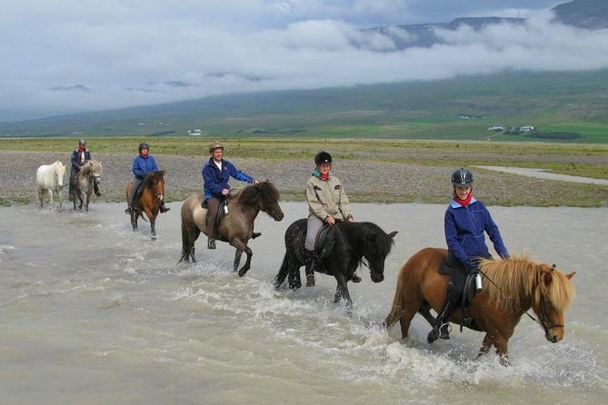 Private 3-Hour Horseback Riding Tour - A real Icelandic horse ride, not a nose-to-tail pony trek