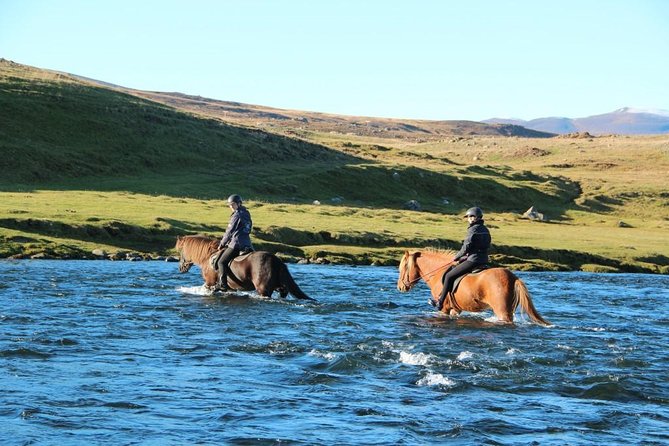 Private 3-Hour Horseback Riding Tour - Understanding tolt before you arrive