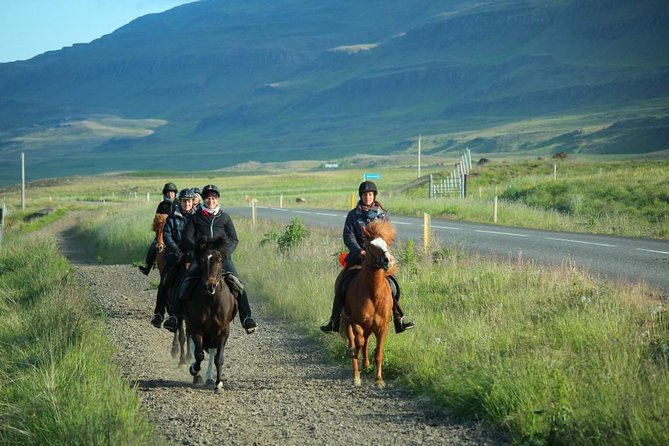 Private 3-Hour Horseback Riding Tour - Why the private format improves the experience