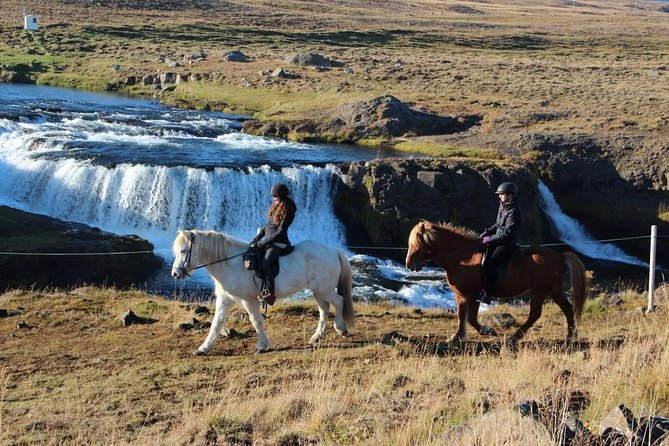 Private 3-Hour Horseback Riding Tour - Who will enjoy this ride most