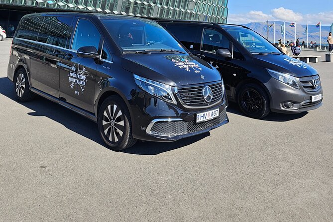 Private 6 Hour Airport or Cruise Tour with Transfer - Harpa and the Reykjavik waterfront