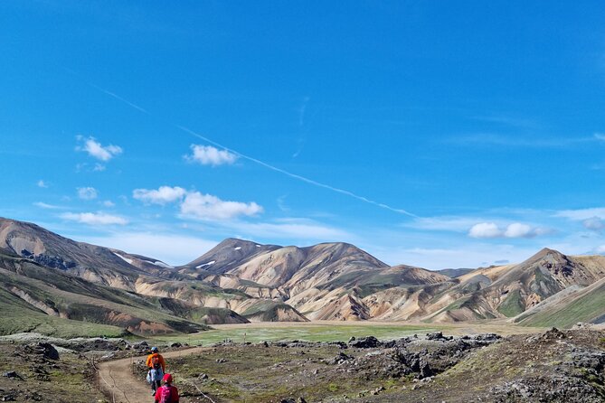 Private Day Trip in Landmannalaugar South Region area on a 4x4 truck - Landmannalaugar gives you the main event